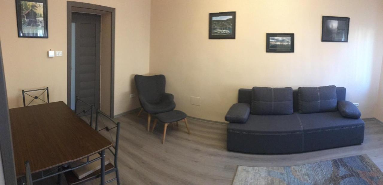 Apartmán Milan House Arad Exteriér fotografie