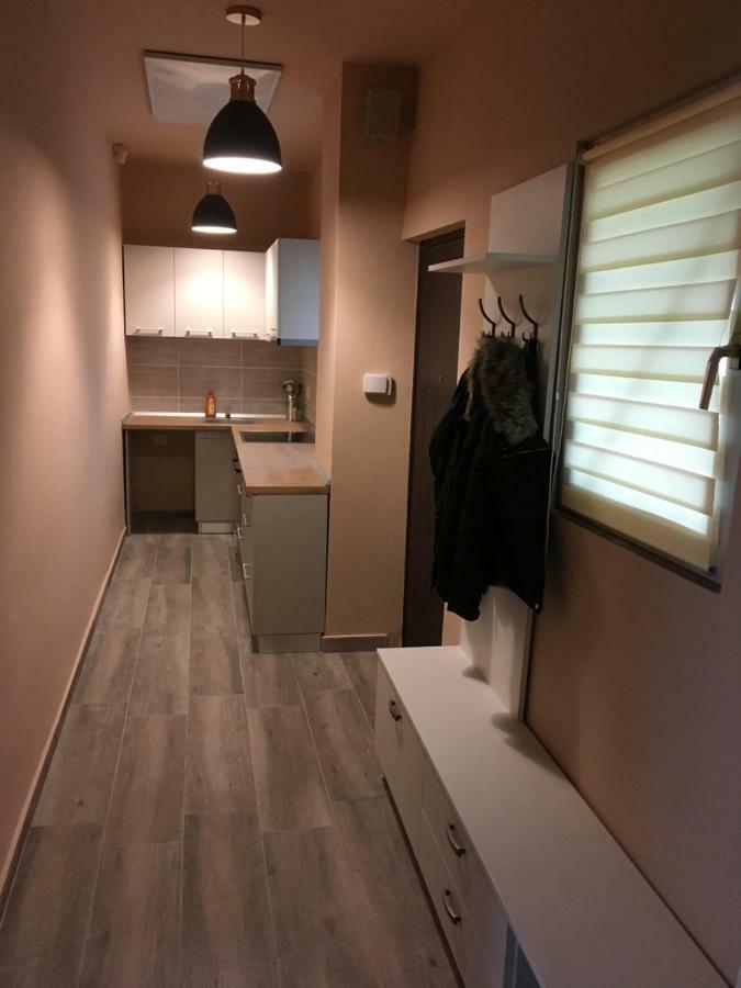 Apartmán Milan House Arad Exteriér fotografie